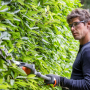 Ножницы Husqvarna 520iHT4