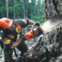 Бензопила Husqvarna 565